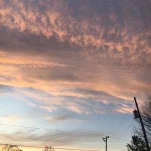 Meet your Posher, Lizzie